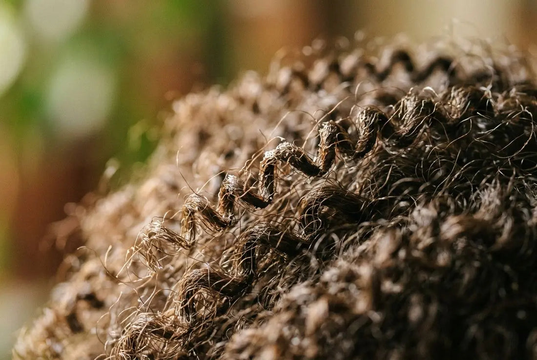 Comment hydrater cheveux frisés : guide complet pour cheveux bouclés